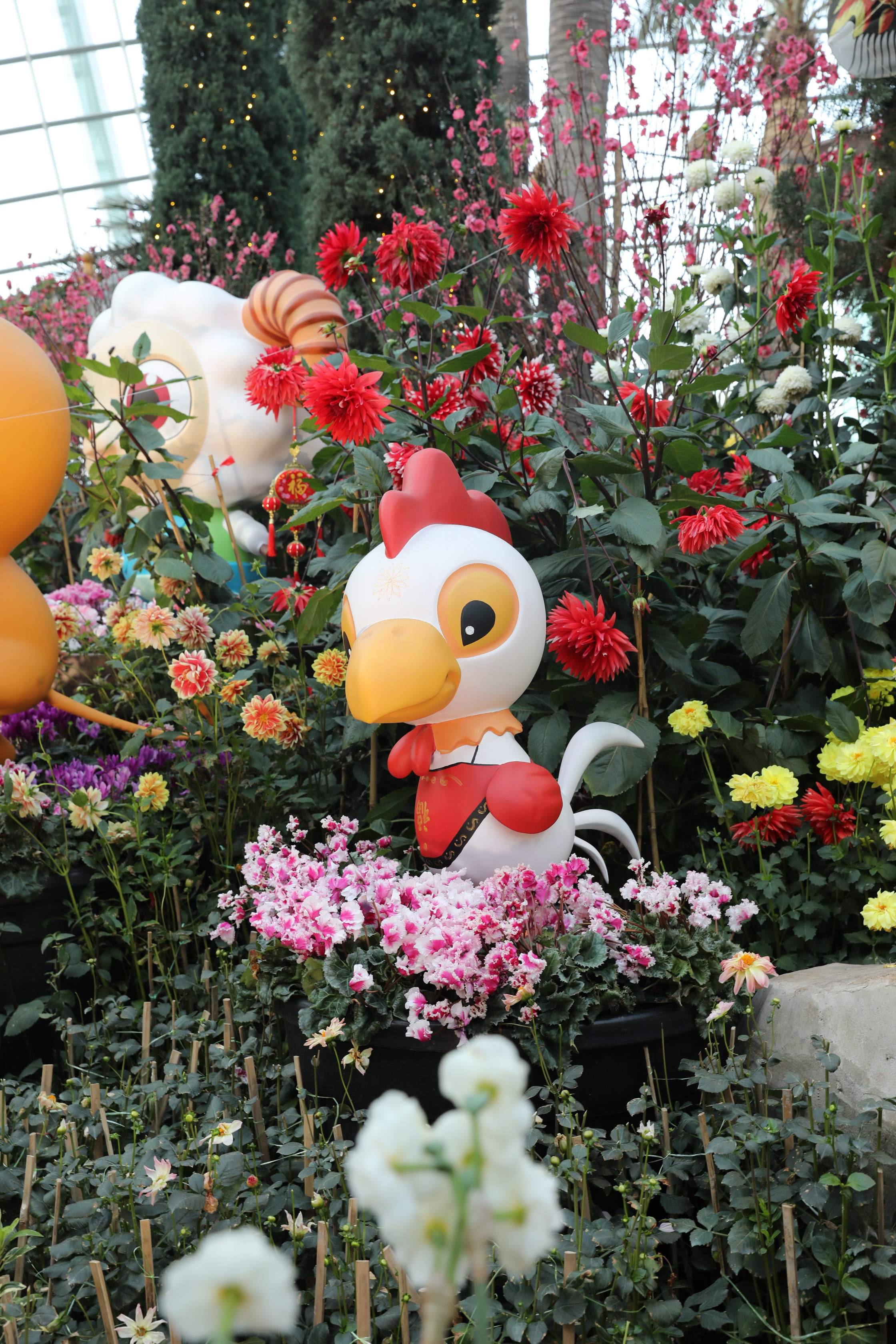 2020 02 03 18 47 29 Canon EOS 5D Mark IV 0068